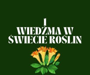 WIEDŹMA W ŚWIECIE ROŚLIN PLANTAZJA