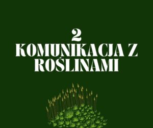 KOMUNIKACJA ORAZ PIELĘGNOWANIE RELACJI PLANTAZJA
