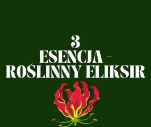 TWORZENIE ESENCJI – ROŚLINNEGO ELIKSIRU PLANTAZJA