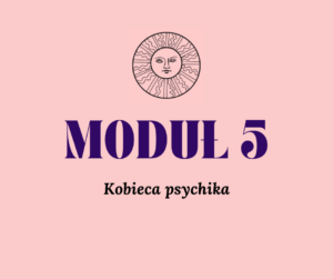 CERTYFIKACJA MODUŁ V