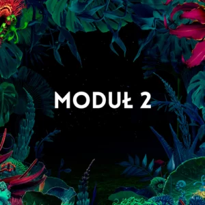 TAROT MODUŁ 2
