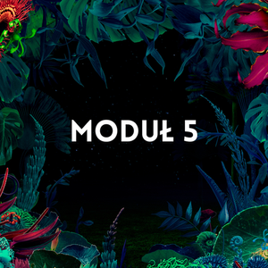 TAROT MODUŁ 5