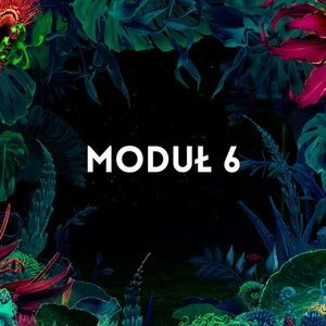 TAROT MODUŁ 6