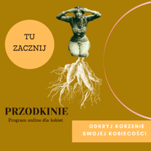 TU ZACZNIJ – PRZODKINIE
